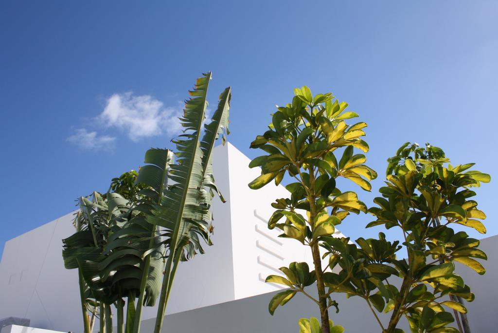 Villas De La Marina ปลายาบลังกา ภายนอก รูปภาพ